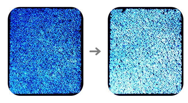 21a68409523a34a3ca40a5e61ace9803_1744118563_0471.png